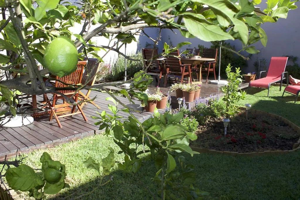 The Lions Guest House Cape Town