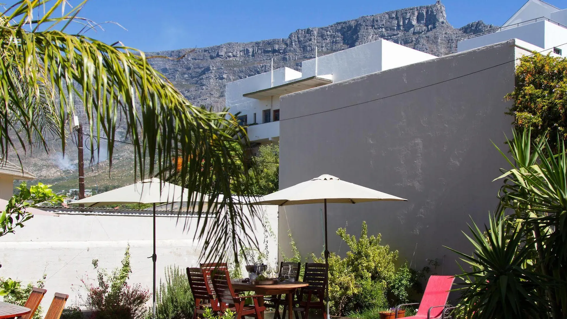 The Lions Guest House Cape Town
