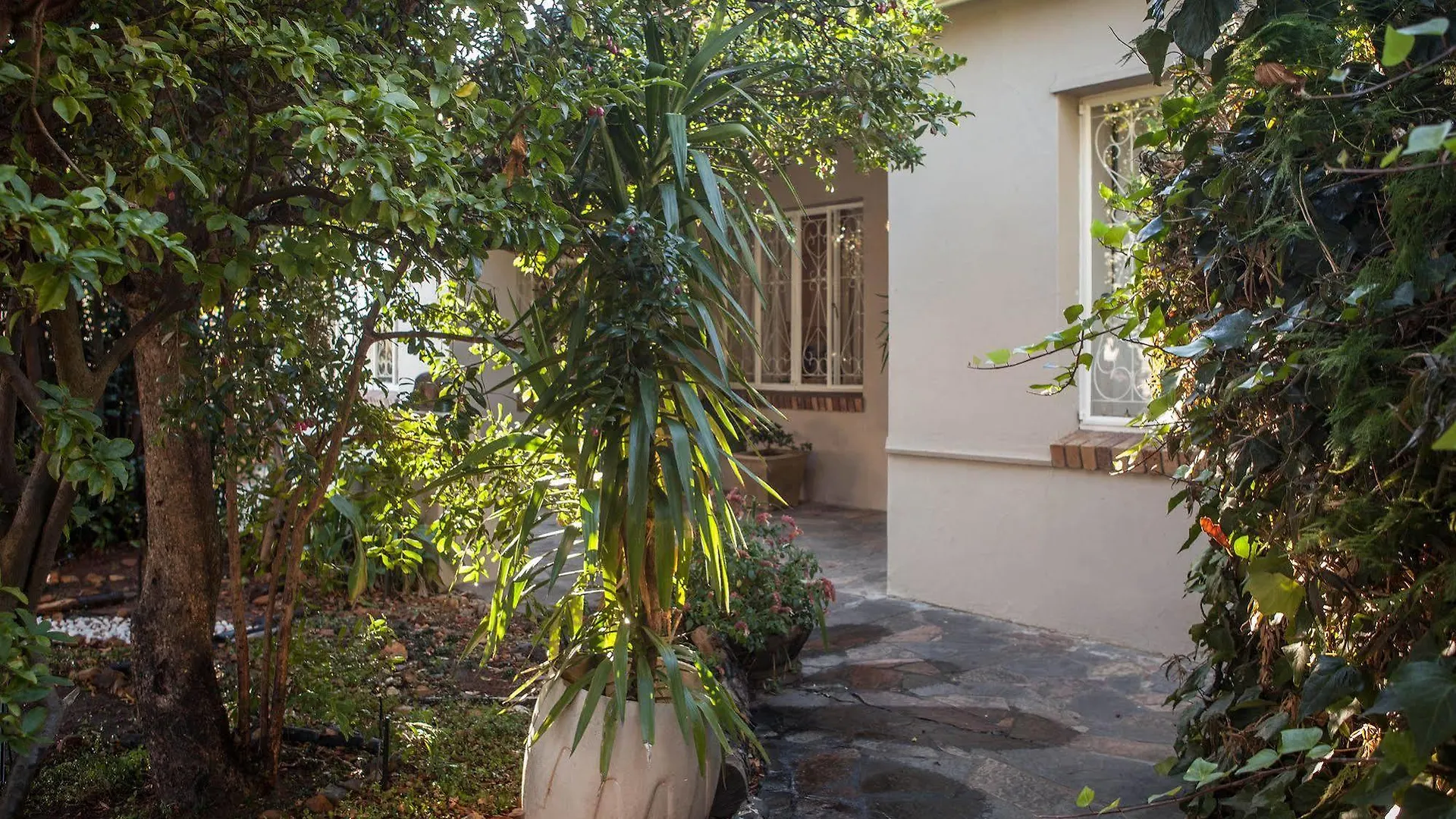The Lions Guest House Cape Town